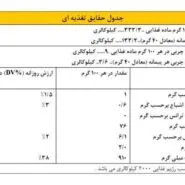 پودر گینر نارین