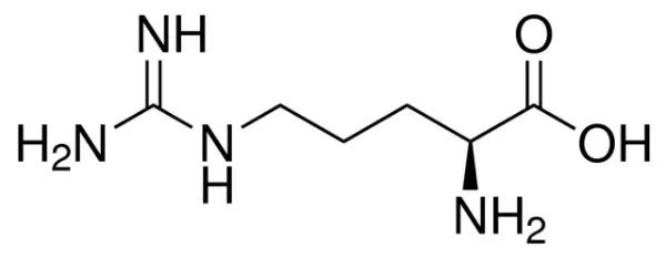 آرژنین