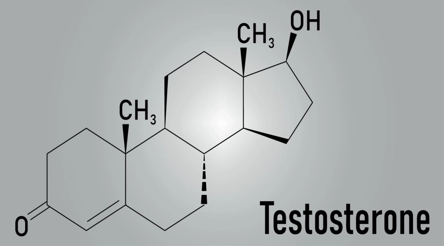 تستوسترون چیست؟