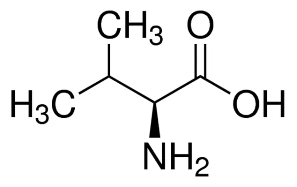 والین