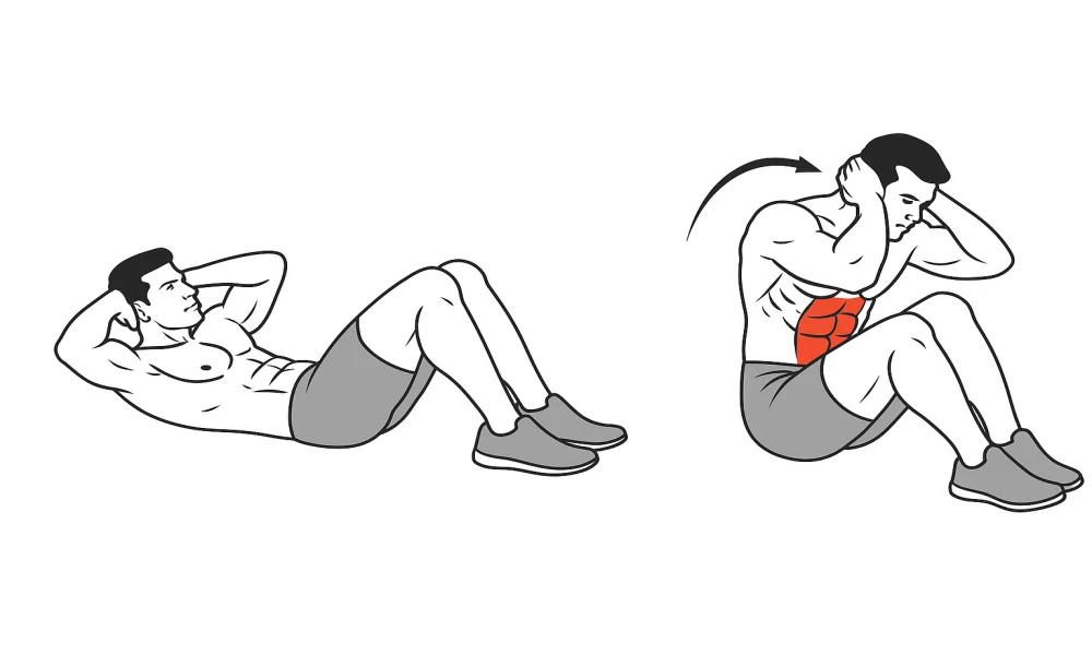 شکم کراس خوابیده