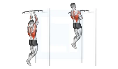 بارفیکس برعکس | 7 فایده و عضلات درگیر که باید بدانید!