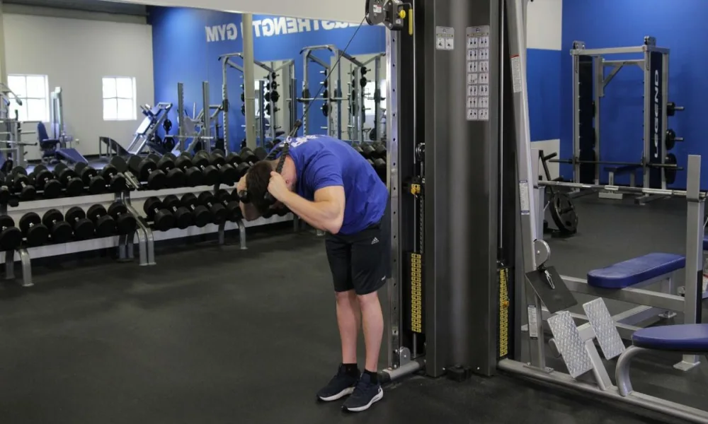 شکم سیم کش از بالا