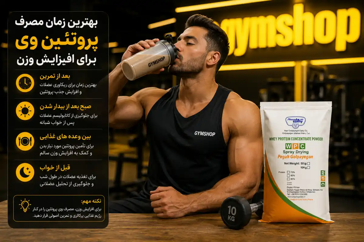 بهترین زمان مصرف پروتئین وی برای افزایش وزن-جیم شاپ فروشگاه معتبر مکمل بدنسازی