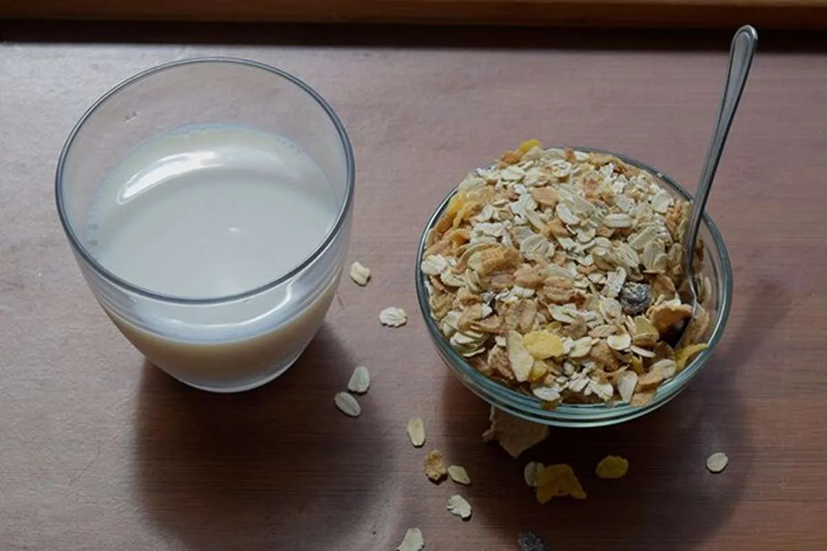 طرز تهیه اوتمیل با شیر و عسل-ساخت اوتمیل با شیر-جیم شاپ بهترین سایت خرید محصولات رژیمی و مکمل بدنسازی