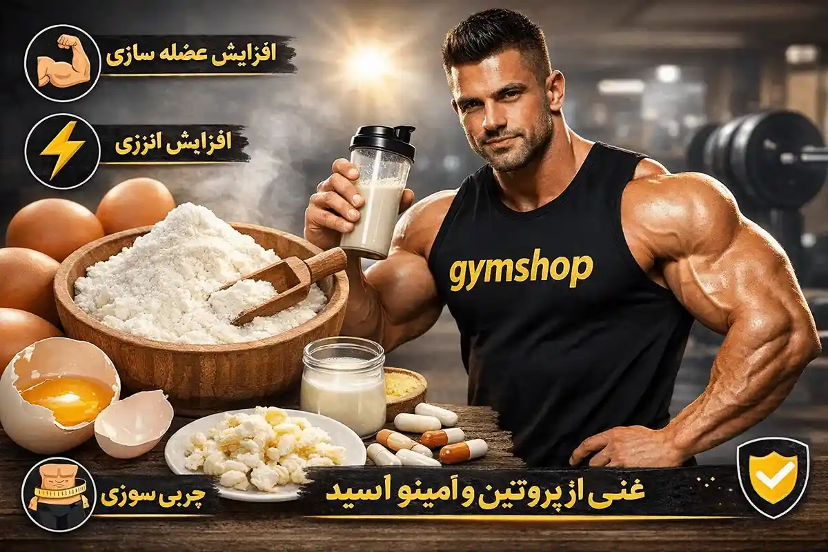 فواید پودر سفیده تخم مرغ-فواید پروتئین آلبومین-جیم شاپ وبلاگ علمی تغذیه و رژیم غذایی