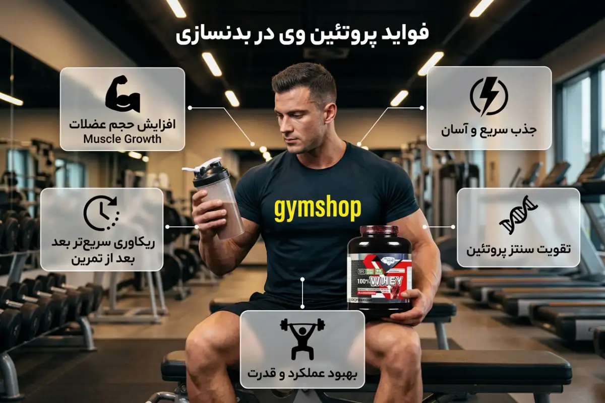 فواید پروتئین وی برای عضله سازی-خواص پروتئین وی-مزایای پروتئین وی-جیم شاپ