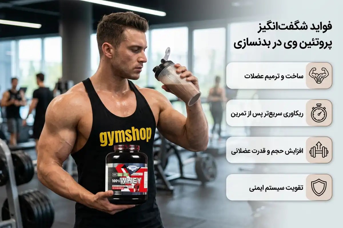 فواید پروتئین وی در بدنسازی-حواص پروتئین وی در بدنسازی-فواید پروتئین وی-جیم شاپ